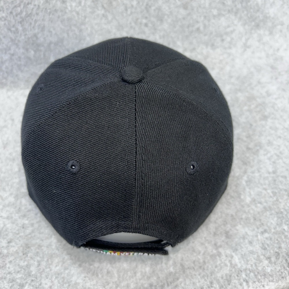 Vietnam Veterans CSI Cap Black Adjustable All Gave Some Hat - Picture 6 of 14